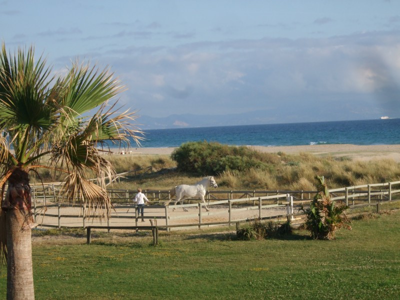 Anadalusien 2009 - 0443 